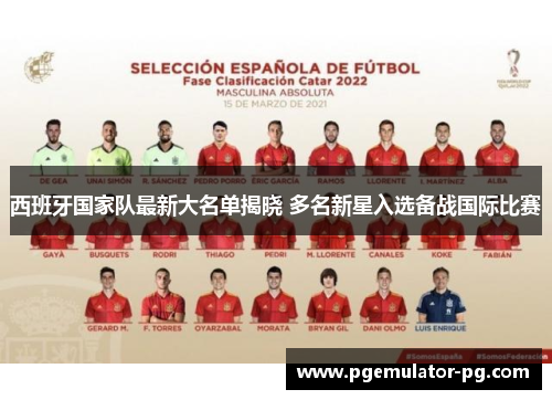 西班牙国家队最新大名单揭晓 多名新星入选备战国际比赛