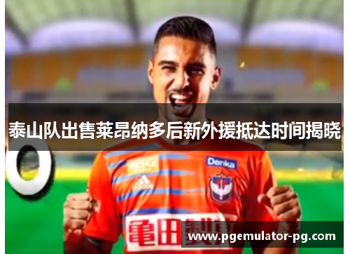 泰山队出售莱昂纳多后新外援抵达时间揭晓