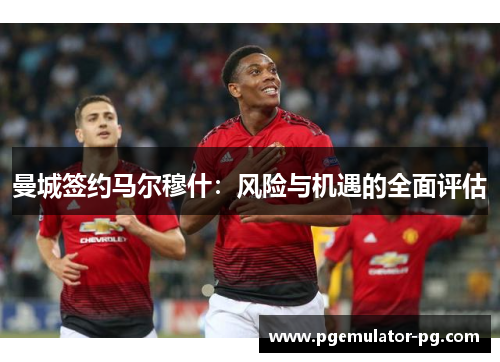 曼城签约马尔穆什:风险与机遇的全面评估 曼城签约马尔穆什:风险与机遇的全面评估
