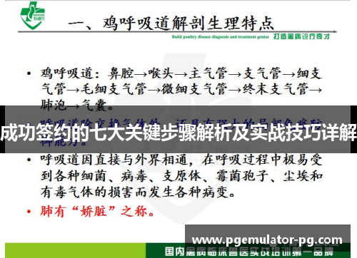 成功签约的七大关键步骤解析及实战技巧详解 成功签约的七大关键步骤解析及实战技巧详解