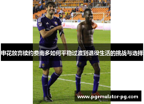 申花放弃续约费南多如何平稳过渡到退役生活的挑战与选择 申花放弃续约费南多如何平稳过渡到退役生活的挑战与选择