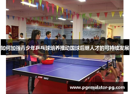 如何加强青少年乒乓球培养推动国球后继人才的可持续发展