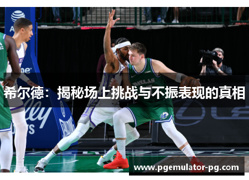 希尔德：揭秘场上挑战与不振表现的真相