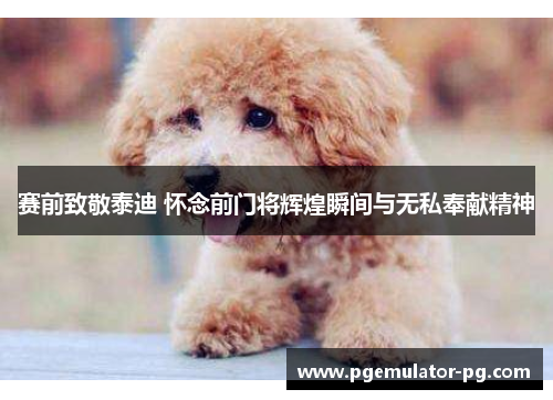 赛前致敬泰迪 怀念前门将辉煌瞬间与无私奉献精神 赛前致敬泰迪 怀念前门将辉煌瞬间与无私奉献精神