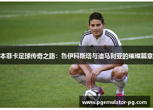 本菲卡足球传奇之路：鲁伊科斯塔与迪马利亚的璀璨篇章