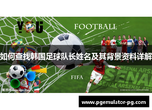 如何查找韩国足球队长姓名及其背景资料详解