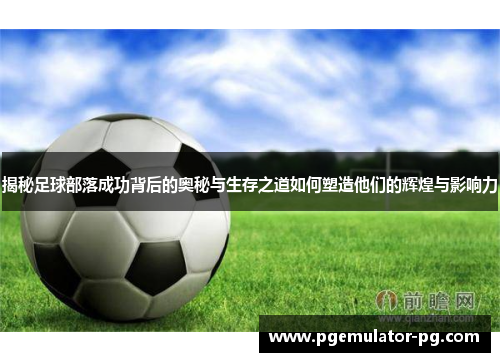 揭秘足球部落成功背后的奥秘与生存之道如何塑造他们的辉煌与影响力