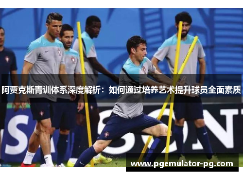 阿贾克斯青训体系深度解析:如何通过培养艺术提升球员全面素质 阿贾克斯青训体系深度解析:如何通过培养艺术提升球员全面素质