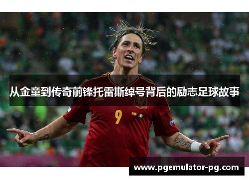 从金童到传奇前锋托雷斯绰号背后的励志足球故事 从金童到传奇前锋托雷斯绰号背后的励志足球故事