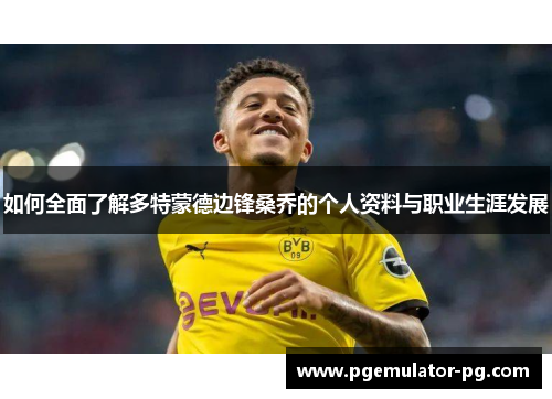 如何全面了解多特蒙德边锋桑乔的个人资料与职业生涯发展