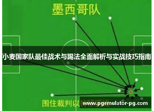 小麦国家队最佳战术与踢法全面解析与实战技巧指南 小麦国家队最佳战术与踢法全面解析与实战技巧指南