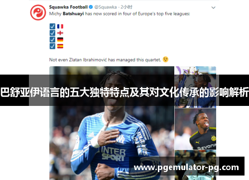 巴舒亚伊语言的五大独特特点及其对文化传承的影响解析