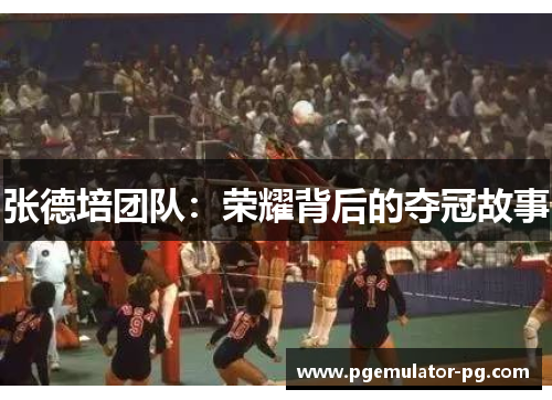 张德培团队：荣耀背后的夺冠故事