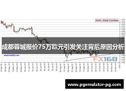 成都蓉城报价75万欧元引发关注背后原因分析 成都蓉城报价75万欧元引发关注背后原因分析