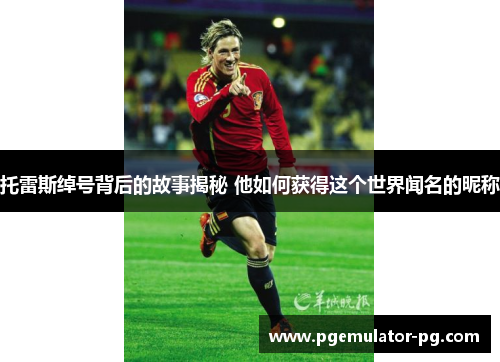 托雷斯绰号背后的故事揭秘 他如何获得这个世界闻名的昵称 托雷斯绰号背后的故事揭秘 他如何获得这个世界闻名的昵称