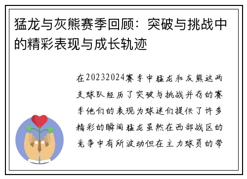 猛龙与灰熊赛季回顾：突破与挑战中的精彩表现与成长轨迹